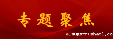 专题聚焦